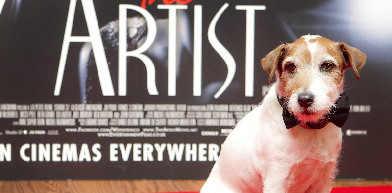 È morto Uggie, il cane del film "The Artist"