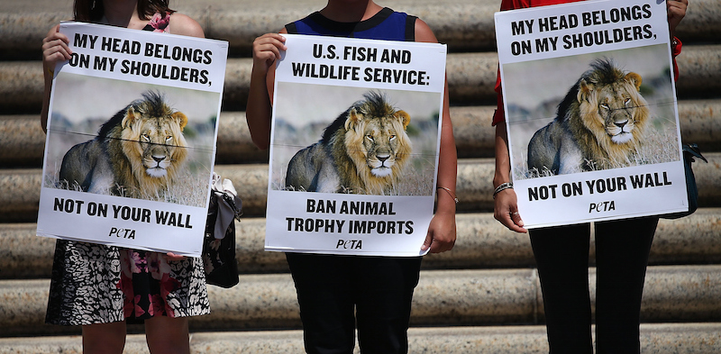 Mark Wilson/Getty Images