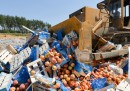 Il cibo europeo distrutto in Russia