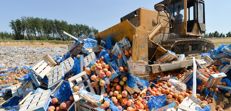 La distruzione di pesche sequestrate, nella città di Novozybkov, il 7 agosto. (AFP/Getty Images)