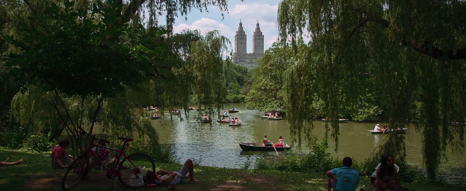 Un’altra estate a New York