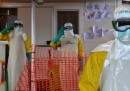 Buone notizie sull'epidemia di ebola
