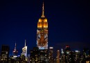 Gli animali a rischio d'estinzione proiettati sull'Empire State Building