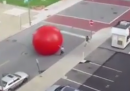 Una palla gigante in giro per Toledo, in Ohio