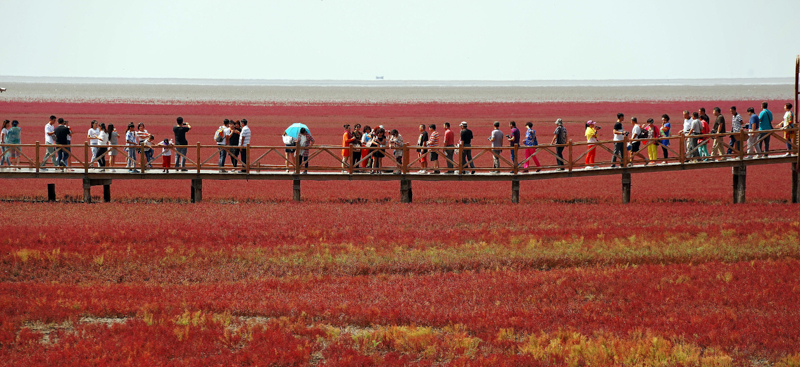 Alcuni turisti sulla spiaggia rossa di Panjin, in Cina. (Xinhua/Tao Ming)