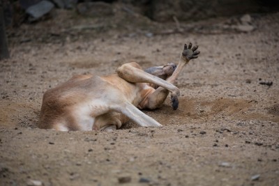 Hangzhou, Zhejiang, Cina