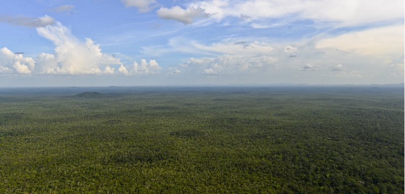 Panoramica della foresta tropicale colombiana.
(Photo credit should read LUIS ACOSTA/AFP/Getty Images)