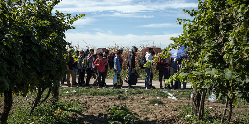 Migranti e profughi a Bapska, 23 setembre 2015 (FEDERICO SCOPPA/AFP/Getty Images)