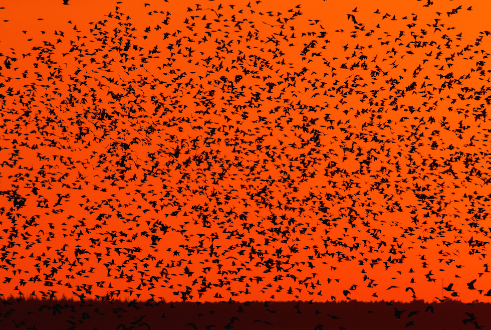 Venerdì 25 settembre