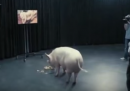 La puntata di Black Mirror che parla del primo ministro britannico e di un maiale