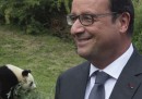Il presidente e il panda