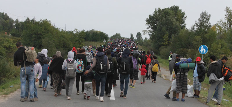 Decine di migranti sulla strada che da Botovo, in Croazia, porta in territorio ungherese. (Il Post)