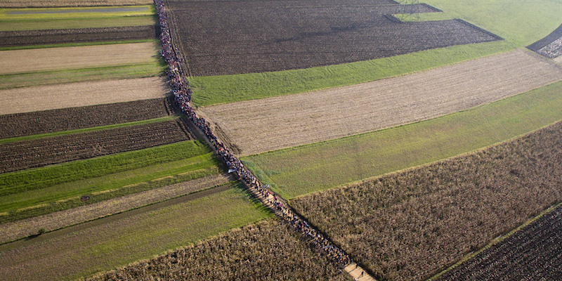 Centinaia di migranti si dirigono a Rigonce, in Slovenia, passando per i campi, 25 ottobre 2015 (AP Photo/Darko Bandic)