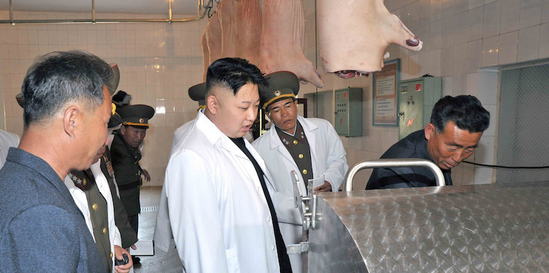 Il dittatore della Corea del Nord Kim Jong-un mentre ispeziona una struttura per la produzione di carne. 
(KNS/AFP/Getty Images)