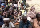 La liberazione di 338 prigionieri di Boko Haram