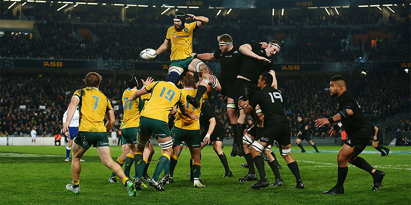 Australia e Nuova Zelanda durante la Rugby Championship, ad agosto (Anthony Au-Yeung/Getty Images)