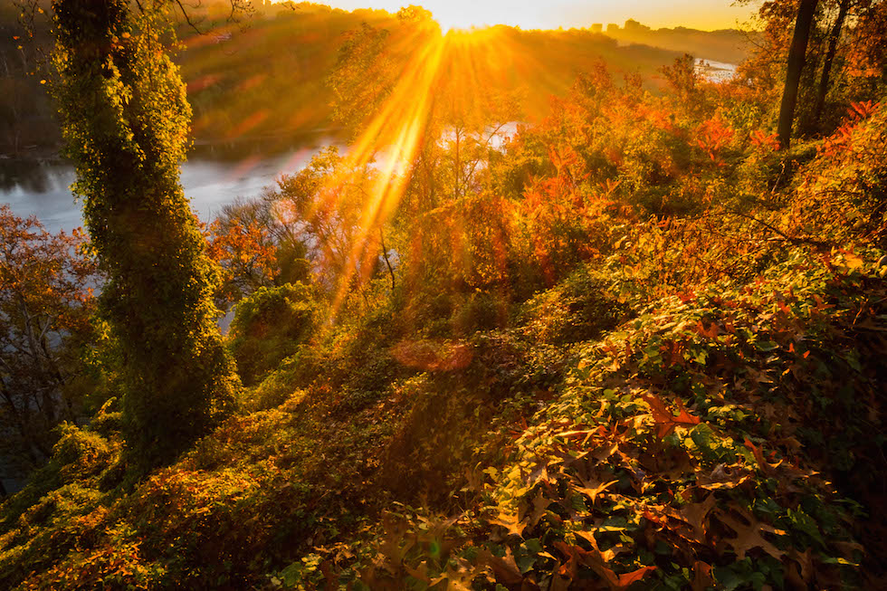 Mercoledì 4 novembre