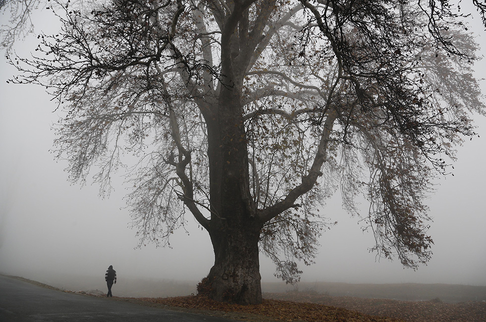 Martedì 24 novembre