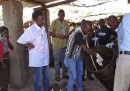 La birra artigianale che ha ucciso 75 persone in Mozambico