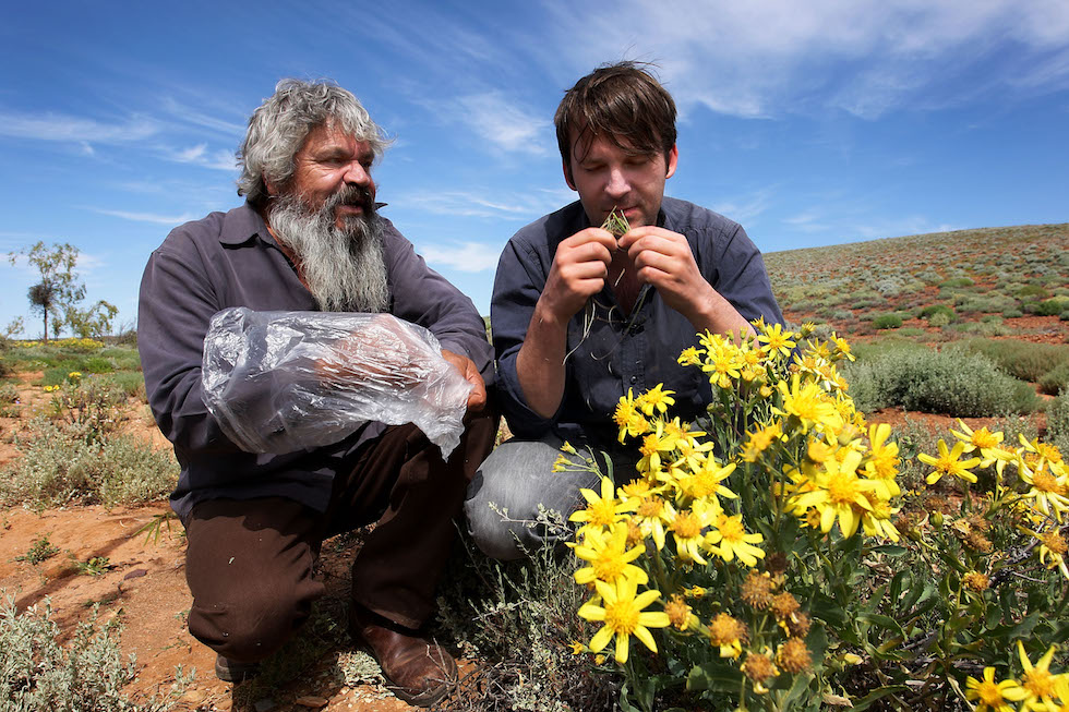 World's Number One Chef Rene Redzepi Forages In South Australia