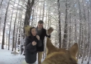 Matrimonio nella neve visto dal punto di vista del cane