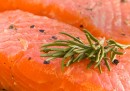Il primo salmone OGM negli Stati Uniti