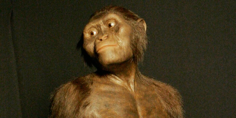 Lucy, l'australopiteco più famoso del mondo