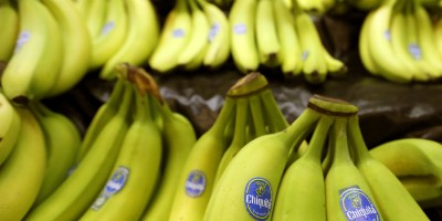 Resteremo senza banane?