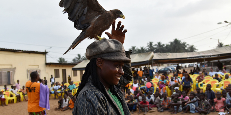 Il cantante ivoriano Alasco e uno sparviero a Grand Bassam, in Costa D'Avorio. (SIA KAMBOU/AFP/Getty Images)