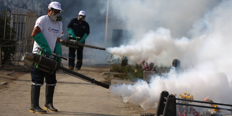 Degli operatori al lavoro per la prevenzione dei virus Dengue e Zika a Lima, in Perù. 20 gennaio 2016.
(AP Photo/Martin Mejia)