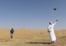 Deserto di Liwa, Emirati Arabi Uniti