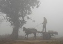 I suicidi dei contadini in India