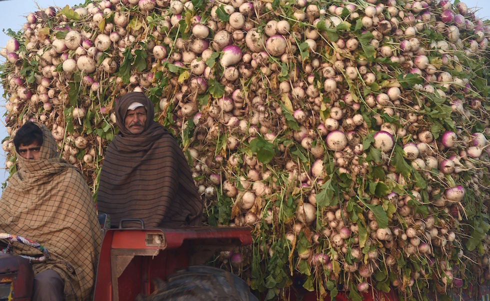 Mercoledì 13 gennaio