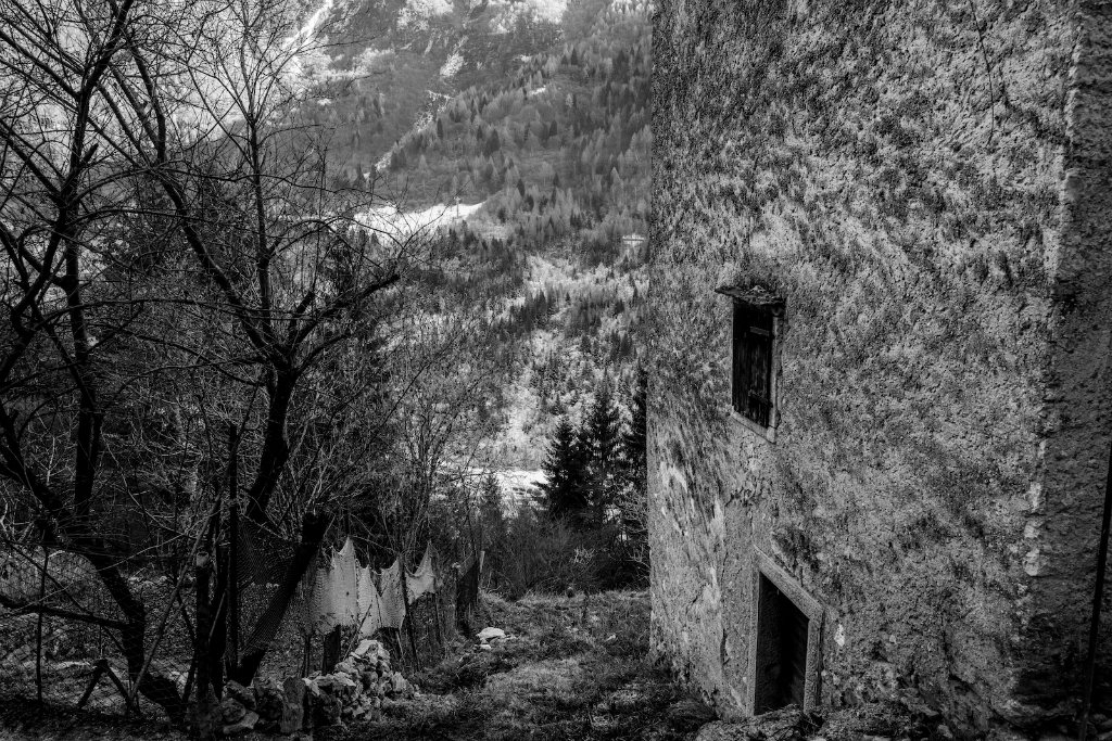 Sembrava possibile (averci creduto)