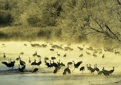 Tsurui, Hokkaido, Giappone