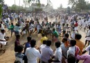 Jallikattu, India