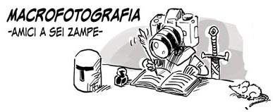 Macrofotografia