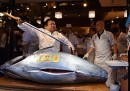 Spostano il mercato del pesce di Tokyo
