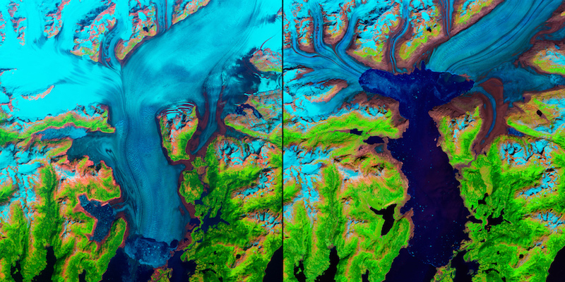 Ghiacciai che si ritirano, Alaska, Stati Uniti (NASA Earth Observatory, using data from the U.S. Geological Survey.