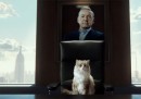 Il trailer di "Nine Lives", il film in cui Kevin Spacey interpreta un gatto