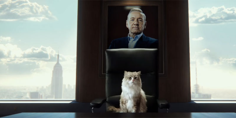 (Dal trailer di "Nine Lives")