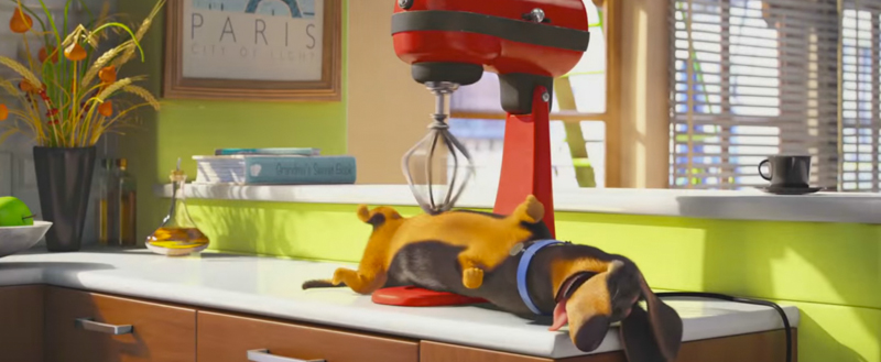 Il nuovo trailer di “Pets – Vita da animali”