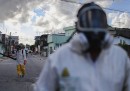 Quanto dobbiamo preoccuparci del virus Zika?