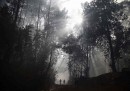 Bogotà, Colombia