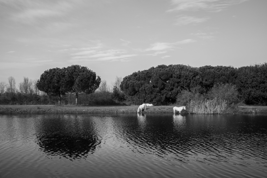 Tutto il resto è silenzio