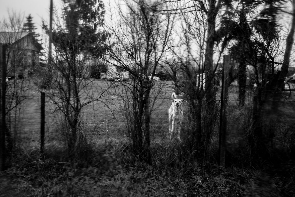 Country death song (reprise)