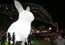 La salvifica strage di conigli in Australia