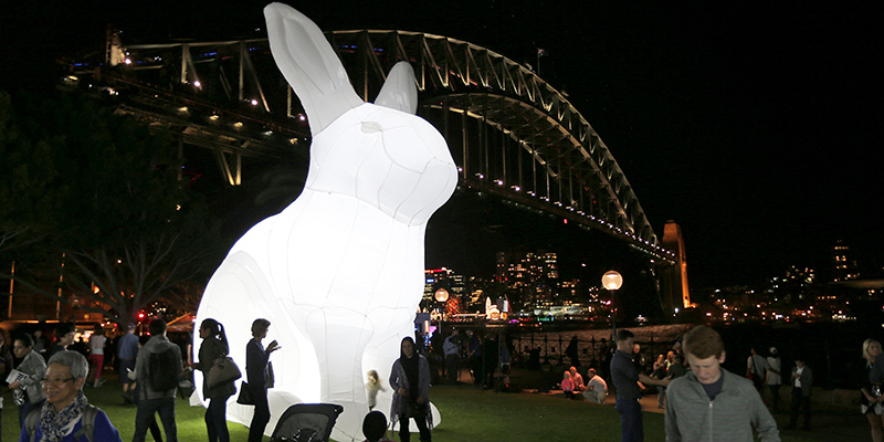 Un'installazione luminosa a forma di coniglio durante il Sydney Vivid Light and Music festival di Sydney, Australia - Maggio 2014 (AP Photo/Rob Griffith)