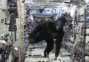 Il video dell'astronauta Scott Kelly che gira per la ISS vestito da gorilla