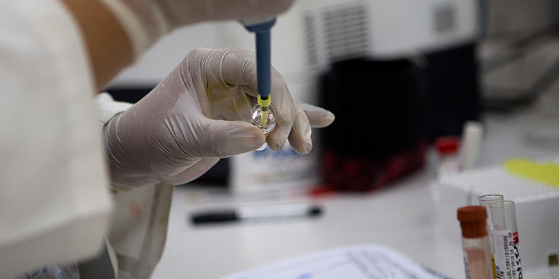 Un test per rilevare la presenza del virus Zika nel sangue di una persona (AP Photo/Moises Castillo)
